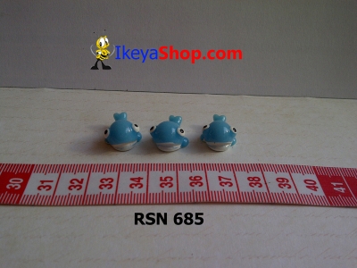 rsn 685  large2